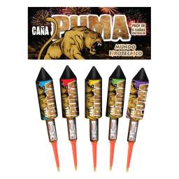 Ca�a Puma